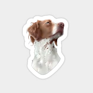 Copy of Sierra the Brittany Sticker